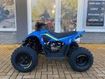 Klikněte pro detailní foto č. 1 - CFMOTO Gladiator X110 SKLADEM
