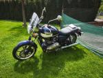 Klikněte pro detailní foto č. 1 - Triumph Bonneville SE (2012) TOP stav, po servisu