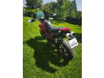Klikněte pro detailní foto č. 10 - Ducati Hypermotard 796 (2010) slušná, po servisu