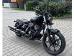 Klikněte pro detailní foto č. 1 - Indian Chief dark horse