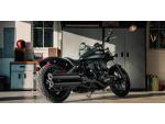 Klikněte pro detailní foto č. 2 - Indian Chief dark horse