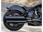 Klikněte pro detailní foto č. 4 - Indian Chief dark horse