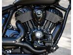 Klikněte pro detailní foto č. 5 - Indian Chief dark horse