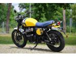 Klikněte pro detailní foto č. 6 - Royal Enfield Bear 650 - WILD HONEY
