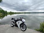 Klikněte pro detailní foto č. 13 - Honda Fireblade