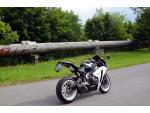 Klikněte pro detailní foto č. 7 - Honda Fireblade