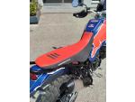 Klikněte pro detailní foto č. 6 - Ducati DesertX, ČR, ZÁRUKA, VÝBAVA, SERVIS, ODPOČET DPH