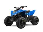 Klikněte pro detailní foto č. 1 - CFMOTO Gladiator X110 LE NOVINKA
