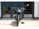 Klikněte pro detailní foto č. 7 - Royal Enfield Bear 650 - AKCE, dárek ZDARMA
