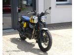 Klikněte pro detailní foto č. 9 - Royal Enfield Bear 650 Wild Honey - AKCE, dárek ZDARMA