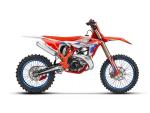 Klikněte pro detailní foto č. 1 - Beta RX MOTOKROS BIKE 2T 250 MY26 - záruka 2 roky