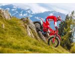 Klikněte pro detailní foto č. 10 - Beta ENDURO BIKE RR X-PRO 200 2T MY26 - záruka 2 roky