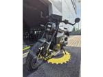 Klikněte pro detailní foto č. 10 - CAN-AM Pulse