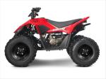 Klikněte pro detailní foto č. 2 - Linhai ATV 110