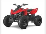 Detail nabídky - Linhai ATV 110