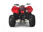 Klikněte pro detailní foto č. 5 - Linhai ATV 110