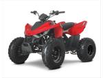 Klikněte pro detailní foto č. 6 - Linhai ATV 110