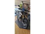 Klikněte pro detailní foto č. 2 - Triumph Tiger 1200 Rally Pro 2025 - SKLADEM