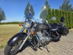 Klikněte pro detailní foto č. 8 - Honda VT 750 C2 Shadow