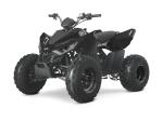 Klikněte pro detailní foto č. 1 - Linhai ATV 110
