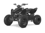 Detail nabídky - Linhai ATV 110