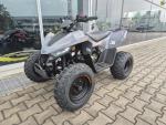 Klikněte pro detailní foto č. 8 - Linhai ATV 110