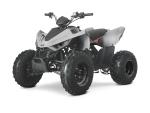 Klikněte pro detailní foto č. 3 - Linhai ATV 110