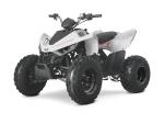 Klikněte pro detailní foto č. 4 - Linhai ATV 110