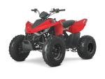Klikněte pro detailní foto č. 5 - Linhai ATV 110