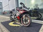 Klikněte pro detailní foto č. 2 - Aprilia RS 125 GP Replica E5+
