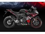 Klikněte pro detailní foto č. 2 - Aprilia RS 125 GP Replica E5+