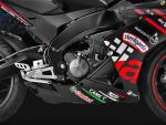 Klikněte pro detailní foto č. 8 - Aprilia RS 125 GP Replica E5+