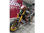 Klikněte pro detailní foto č. 6 - Indian FTR-R 1200 - unikátní stavba, závodní speciál