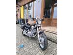 Klikněte pro detailní foto č. 5 - Yamaha XV 1100 Virago
