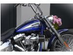 Klikněte pro detailní foto č. 7 - Harley-Davidson FXSE Softail Breakout CVO 110