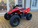 Klikněte pro detailní foto č. 7 - CFMOTO Gladiator X110 SKLADEM