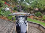 Klikněte pro detailní foto č. 9 - Yamaha XVZ 1300 A Royal Star - TOP STAV 1. MAJITEL ROČNÍK 1949