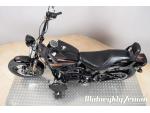 Klikněte pro detailní foto č. 14 - Harley-Davidson FLSTSB Softail Cross Bones 2009