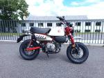 Klikněte pro detailní foto č. 1 - Honda Z125 Monkey