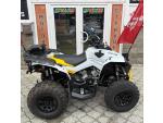 Klikněte pro detailní foto č. 11 - CAN-AM Renegade 650 XXC ABS MY24 SPZ AKCE VÝBAVA ZDARMA