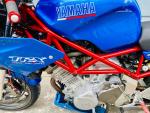 Klikněte pro detailní foto č. 12 - Yamaha TRX 850