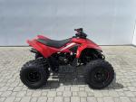 Klikněte pro detailní foto č. 2 - CFMOTO CFMOTO Gladiator X110 LE 