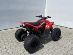 Klikněte pro detailní foto č. 3 - CFMOTO CFMOTO Gladiator X110 LE 