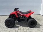 Klikněte pro detailní foto č. 6 - CFMOTO CFMOTO Gladiator X110 LE 
