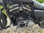Klikněte pro detailní foto č. 11 - Harley-Davidson XL 883N Sportster Iron