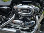Klikněte pro detailní foto č. 10 - Harley-Davidson XL 1200T Sportster Super Low