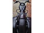 Klikněte pro detailní foto č. 6 - Indian Springfield Dark Horse