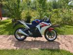 Klikněte pro detailní foto č. 6 - Honda CBR 250 R