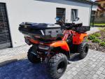 Klikněte pro detailní foto č. 7 - Loncin XWolf 300i