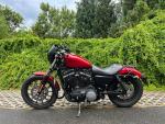 Klikněte pro detailní foto č. 5 - Harley-Davidson XL 883N Sportster Iron